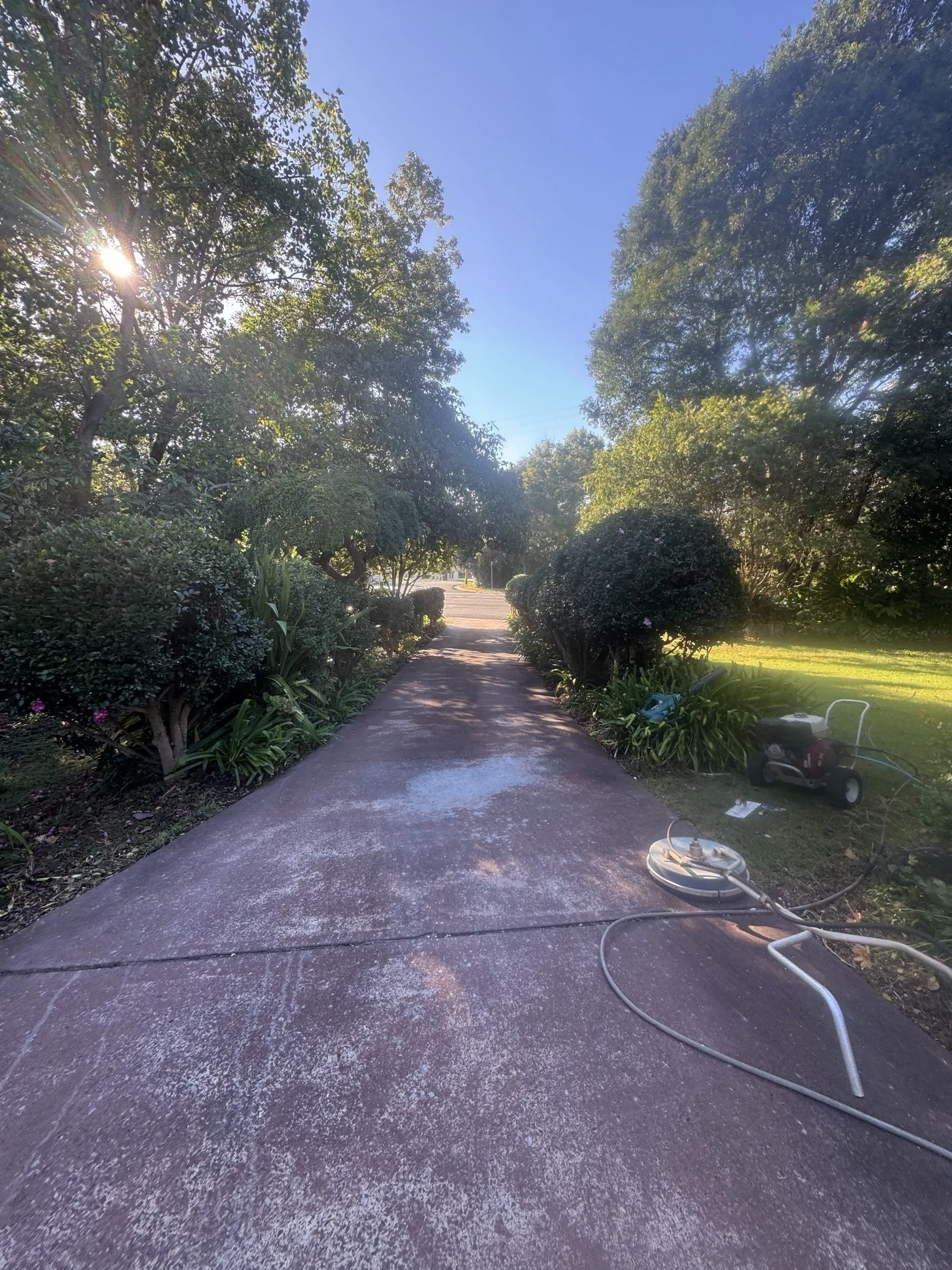 Freshly pressure-washed or resealed driveway leading to a residential property at golden hour, with mature garden framing the approach